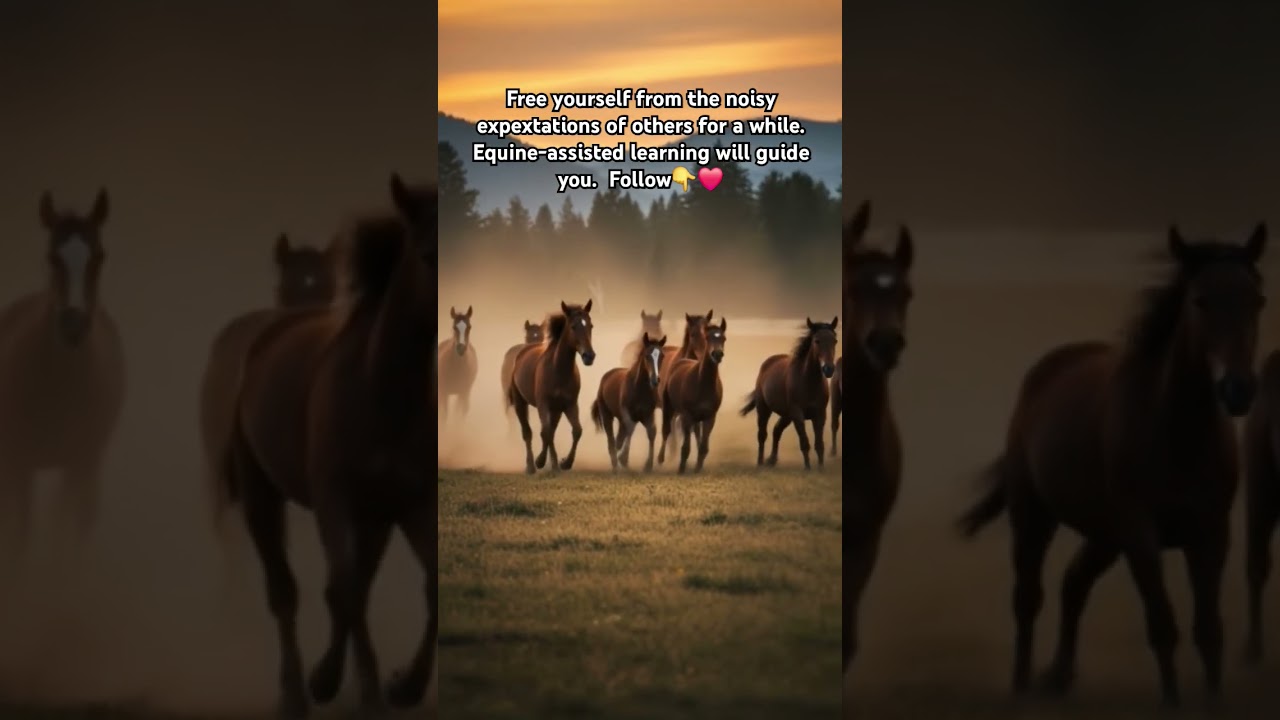 #motivation, #equineassistedlearning, #listentoyourrhythm