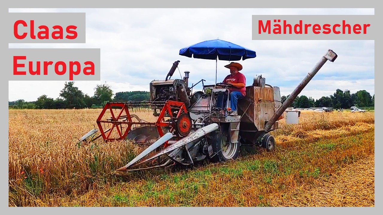 Ernte wie in den 60ern: Claas Europa im Einsatz | 1250 Jahre Geinsheim 2024