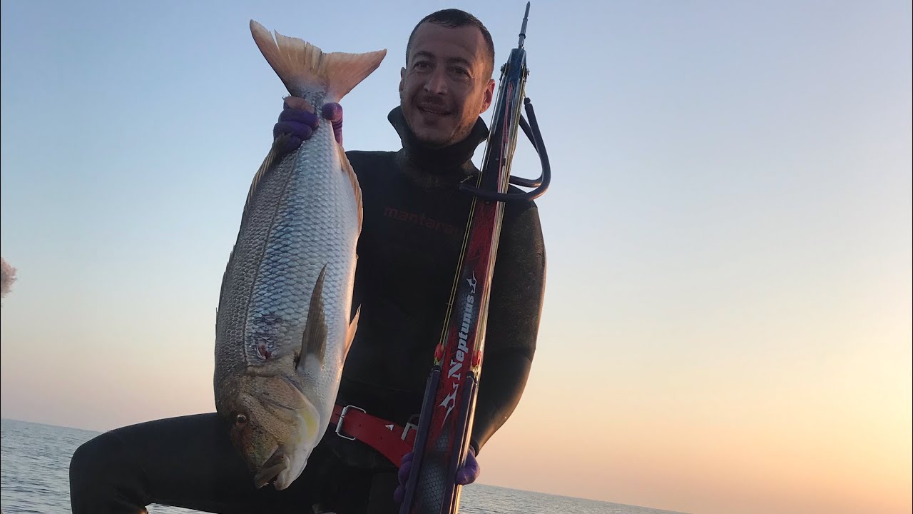 Spearfishing dentex 7,4kg 🧛🏻‍♀️Land of Vampire's🧛🏻‍♀️ @Neptunus-NS @mantaray