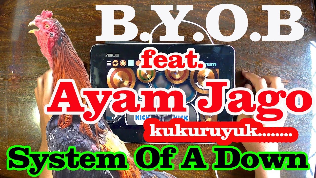 B.Y.O.B | System Of A Down | (REAL DRUM COVER) ft. ayam jago