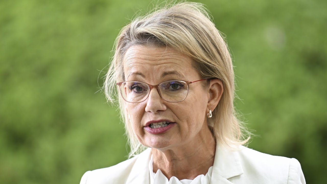 ‘No woman’s land’: Coalition divided on net zero policy