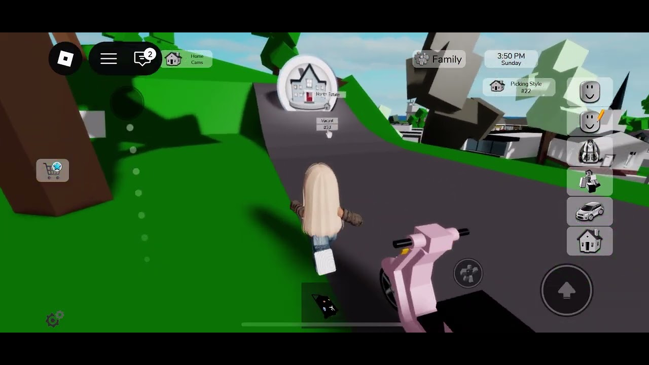 Play Roblox with me