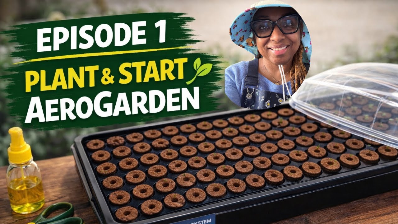 Starting Seeds in an AeroGarden 🌱 Easy Hydro Seed Starting for Spring #gardening #hydroponics