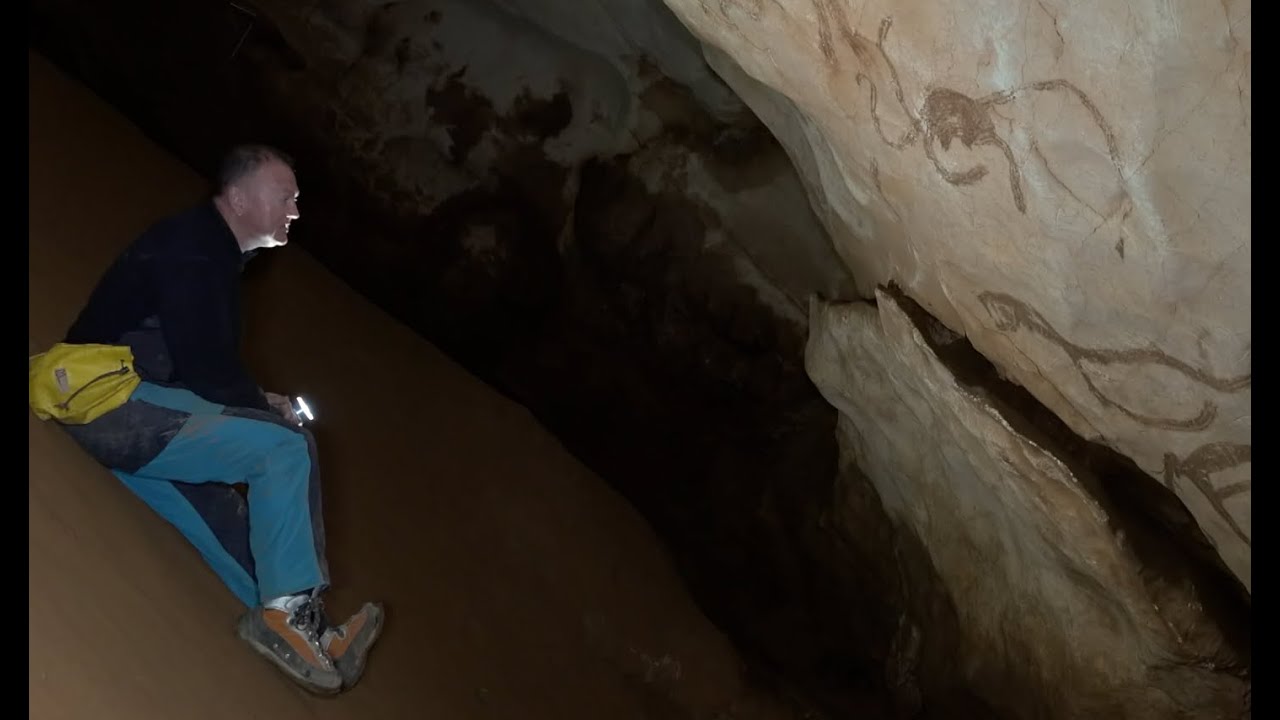 Les Mammouths de la Baume Latrone : Un patrimoine unique à protéger