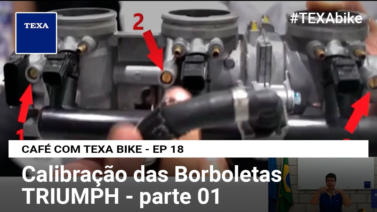 Calibração das Borboletas TRIUMPH - parte 01 | CAFÉ COM TEXA BIKE - EP 18