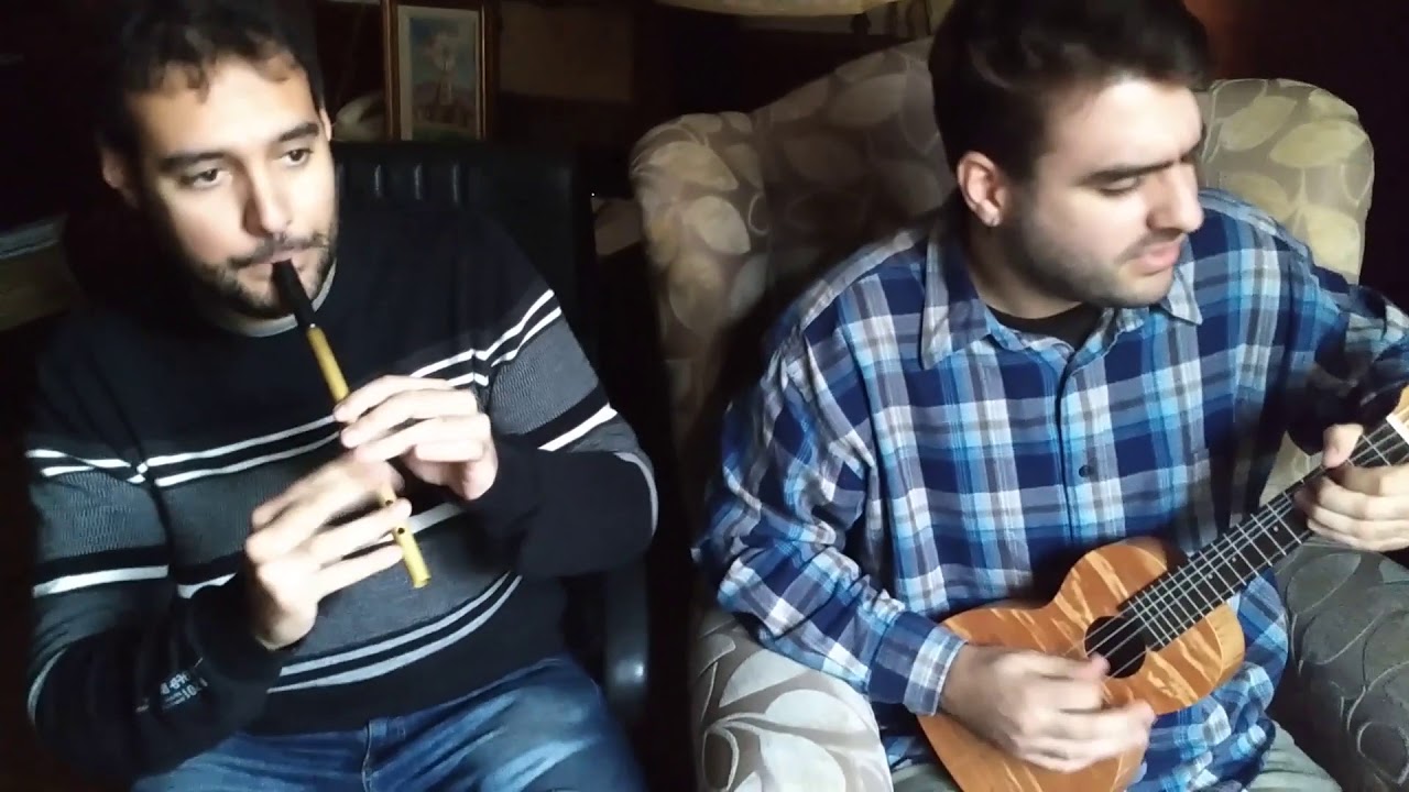 Tin whistle & ukulele - The Lochaber Badger and Whelan's Jig