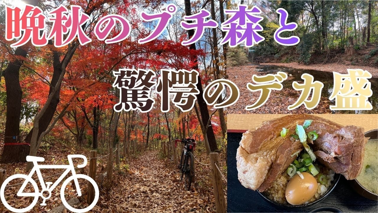 晩秋の小さな森で最後の秋と冬の始まりを探す＆デカ盛りハンターの旅　※最後に大事なお知らせがあります！ #ロードバイク #ポタリング #紅葉 #自転車 #デカ盛り #ridley #cycling