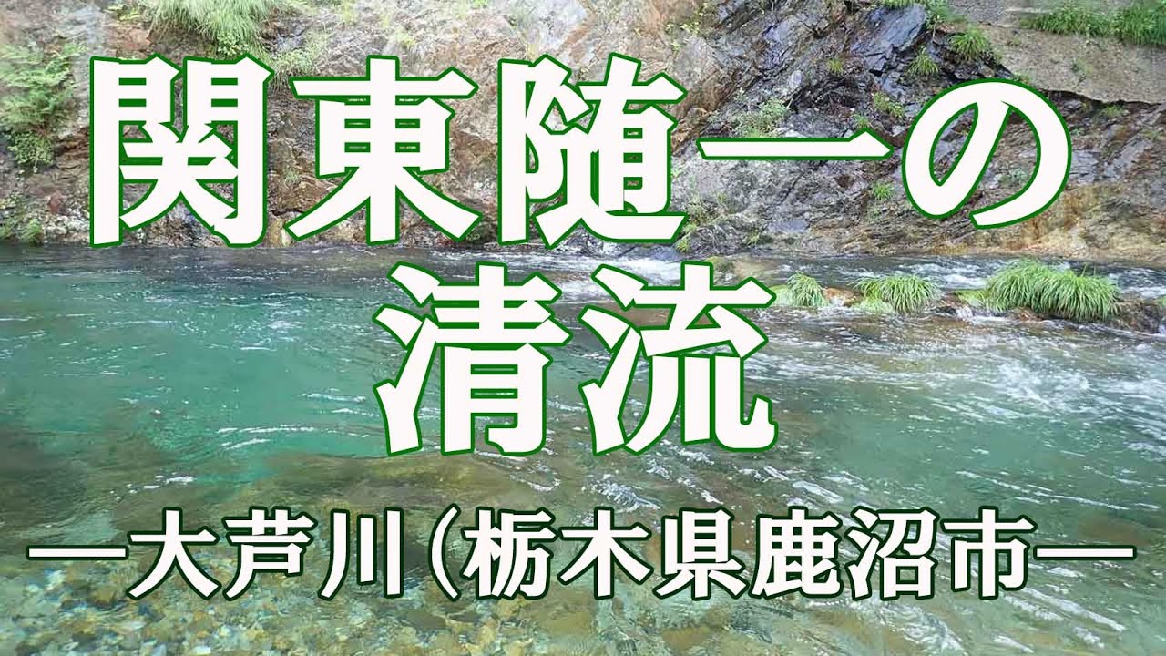 【釣り】大芦川（栃木県鹿沼市）でオレンジ色の斑紋の美しいイワナを釣る！【首都圏日帰り渓流釣り場ガイド】