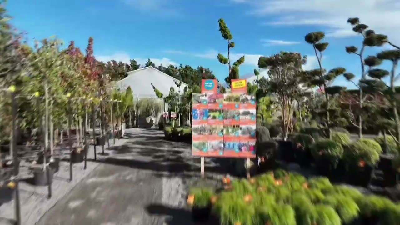 Virtual Tour