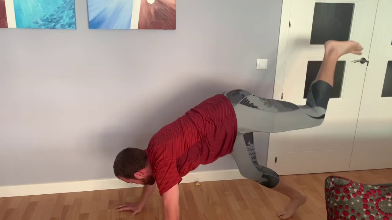 Animal Flow Workout