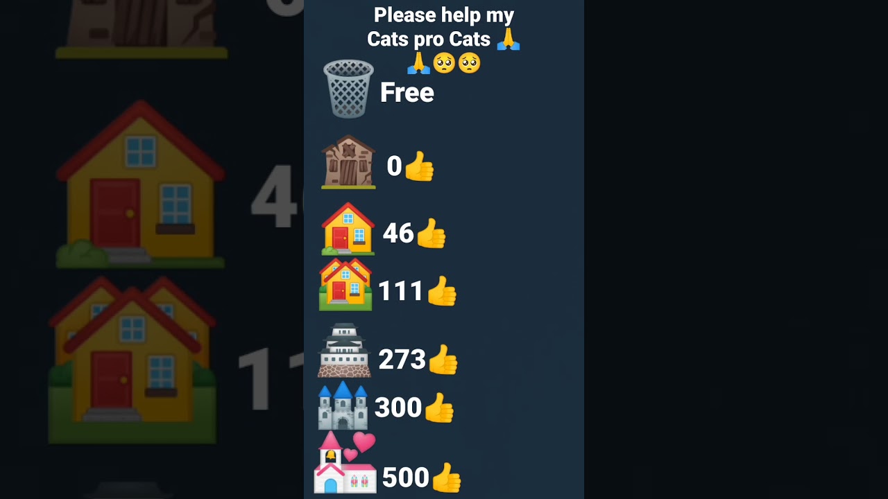 please help me my Cats pro Cats 🙏🙏🥺🥺