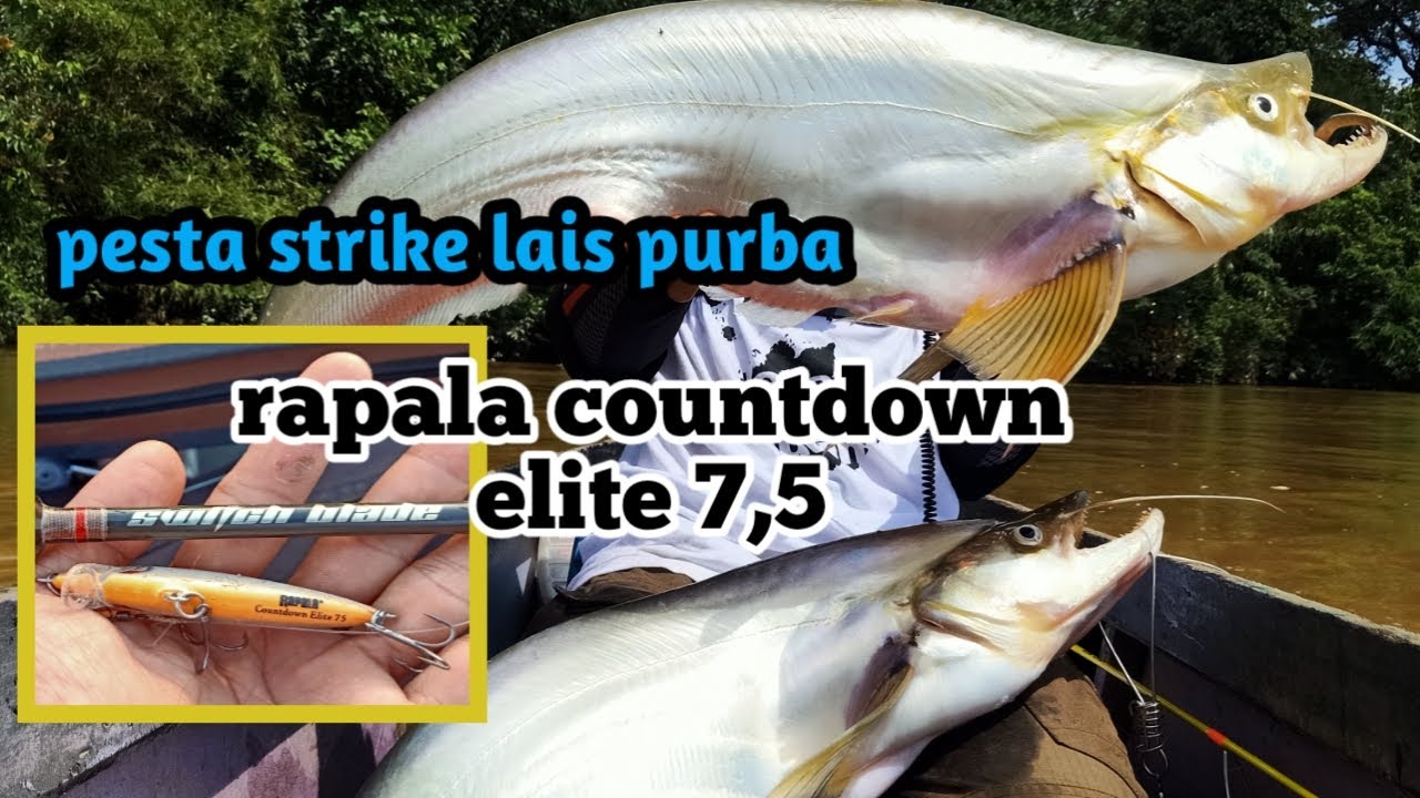 PESTA STRIKE LAIS PURBA // CASTING TEMBIRING // SENGARAT // RAPALA COUNTDOWN ELITE #8