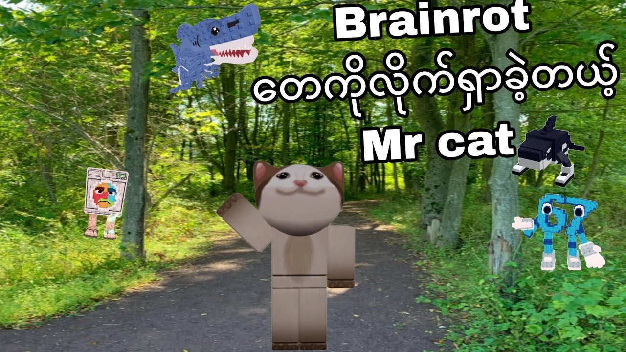 Brainrot တေကိုလိုက်ရှာမယ့် Mr Cat / Find the brainrot