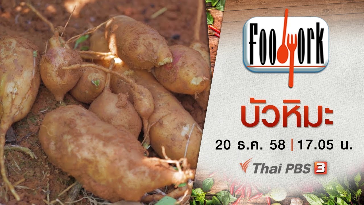 Foodwork  : บัวหิมะ (20 ธ.ค. 58)