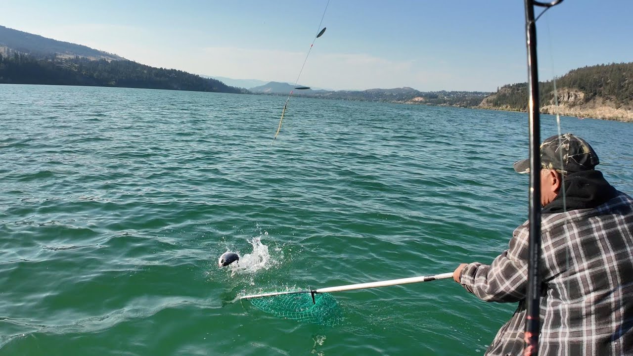 Câu Cá Và Phong Cãnh Đẹp ở Okanagan BC Fishing In BC Fish On Fish On