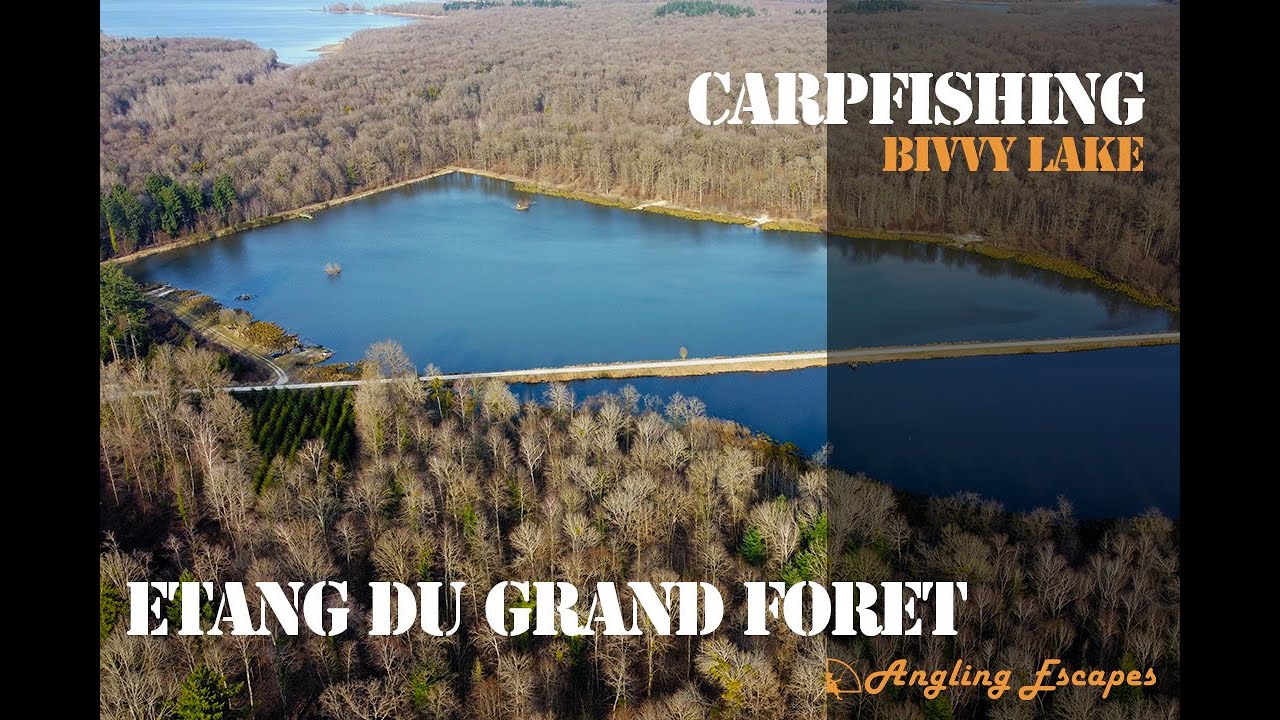 Etang du Grand Foret mooie voorjaars sessie