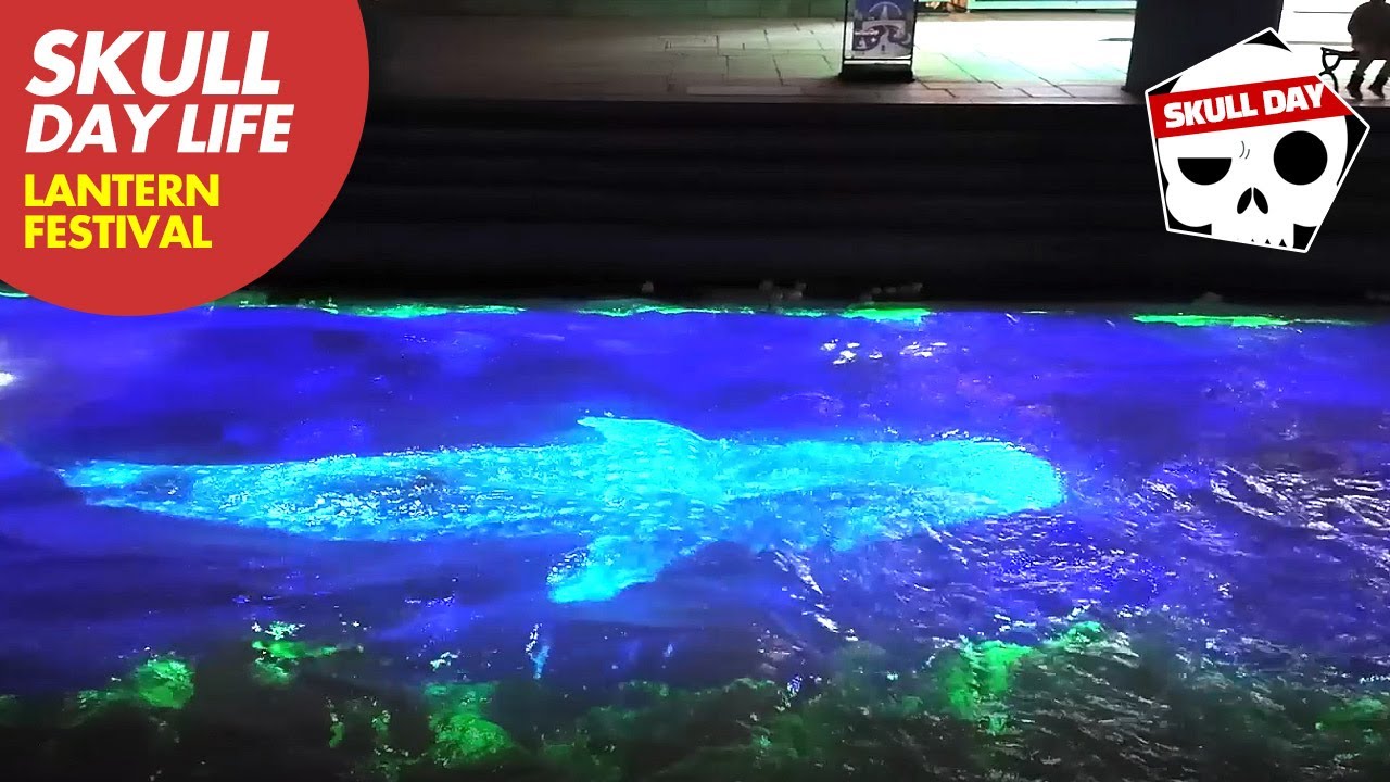 If you see it in person, it's more legendary! Cheonggyecheon Light Lantern Festival