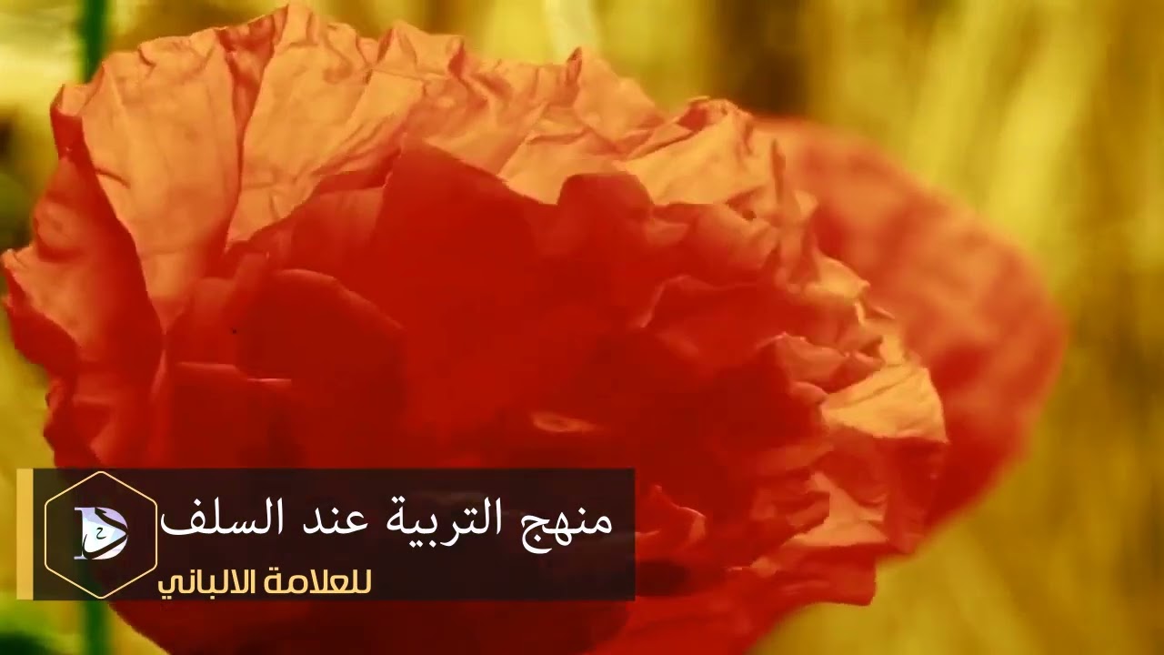 منهج التربية عند السلف ｜ للعلامة الألباني رحمه الله