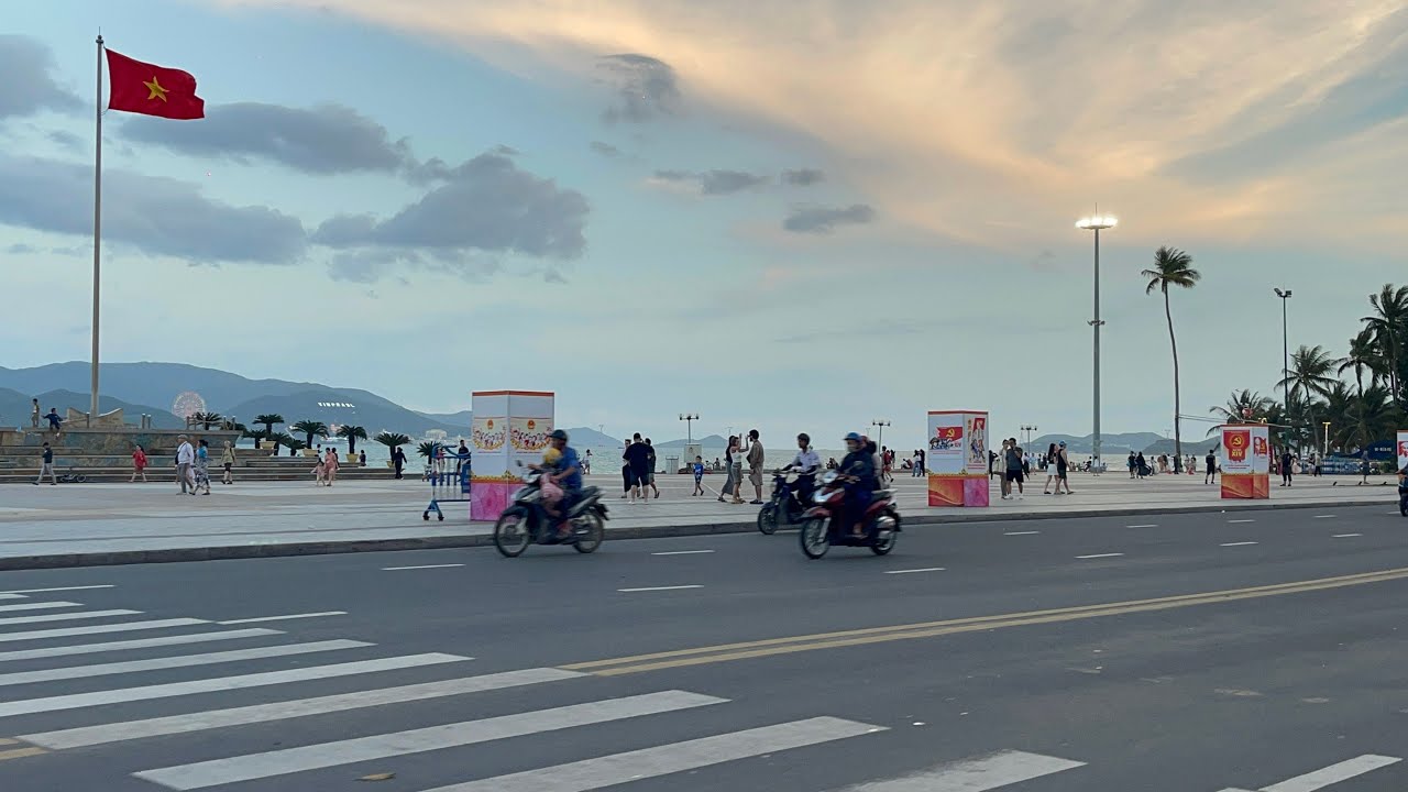 Hoa xuống phố , không khí Tết rộn ràng trên đường phố Nha Trang#nhatrang #travel #tintuc#tetbinhngo 