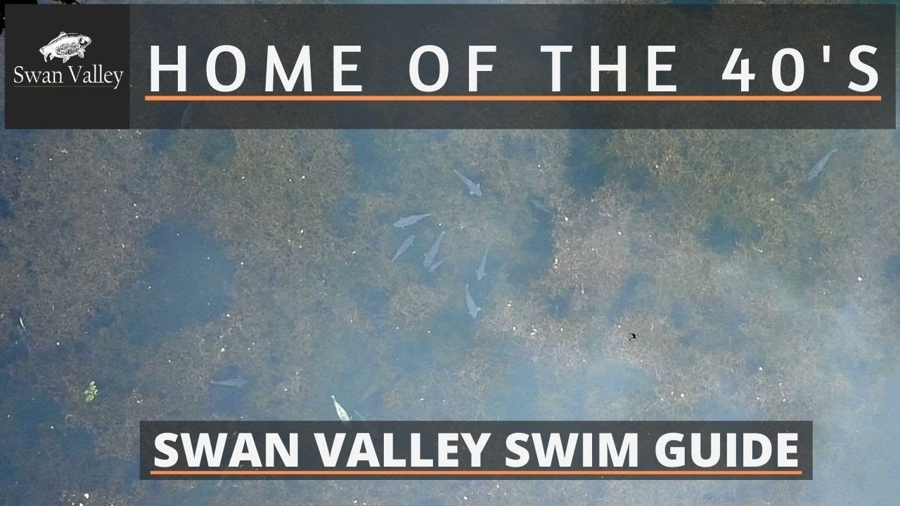 Fishing Lake Tour ~ A Guide to Swan Valley Lake Swims and Features