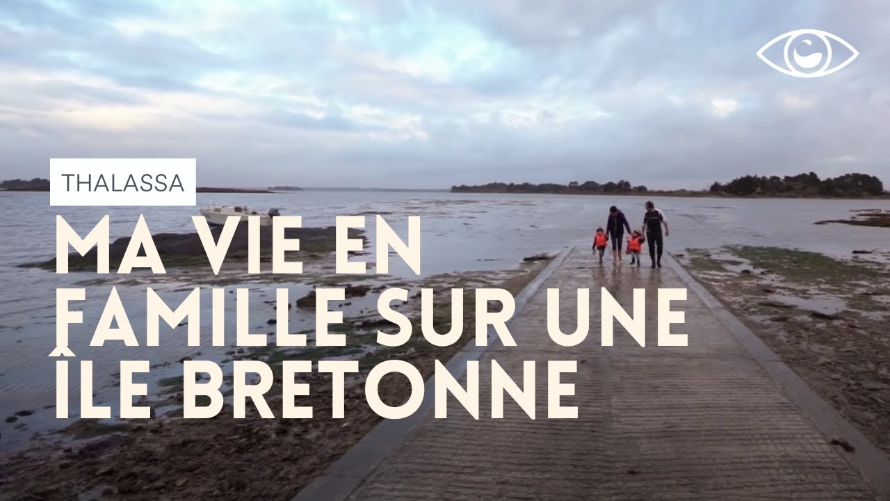 Ma vie en famille sur l'île d'Arz et l'île Tascon - Thalassa