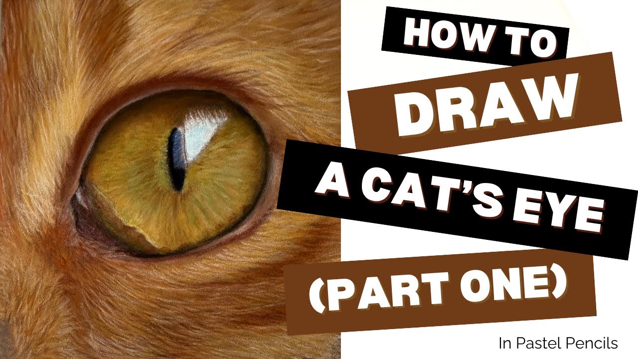 How To Draw A Cats Eye In Pastel Pencils (Part One)