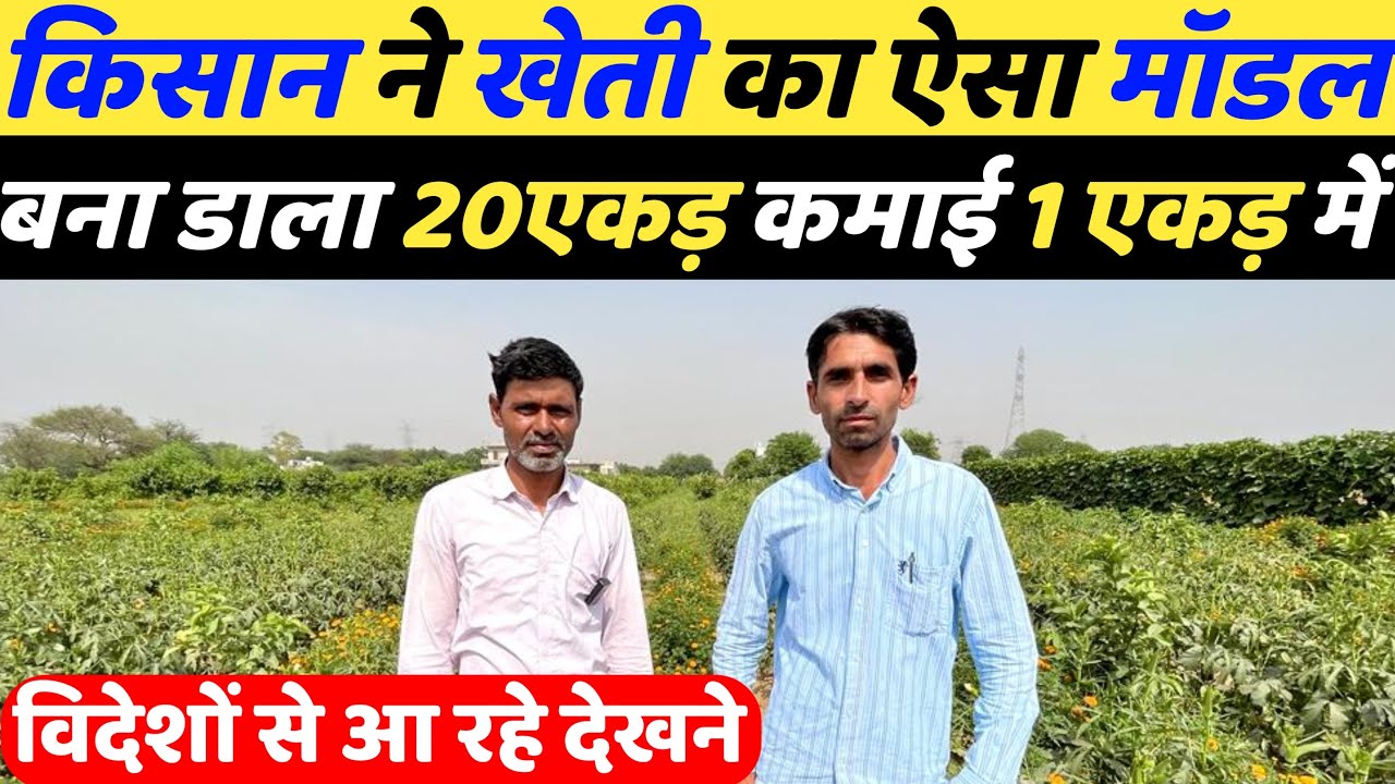 इस देसी किसान ने खेती का ऐसा मॉडल बना डाला जिसे देखने विदेशों से आ रहे हैं लोग | Sabji ki kheti