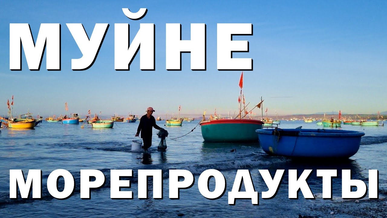 Муйне. Прогулка на рыбный рынок и экскурсия в винный замок. 4 #вьетнам #муйне #море
