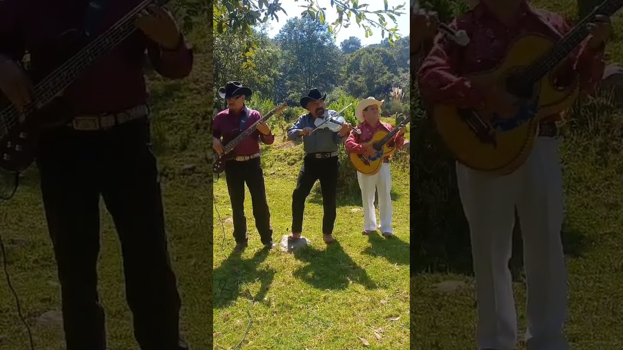 Adan Arreola Los Luceritos de Michoacan -Trigueña Hermosa