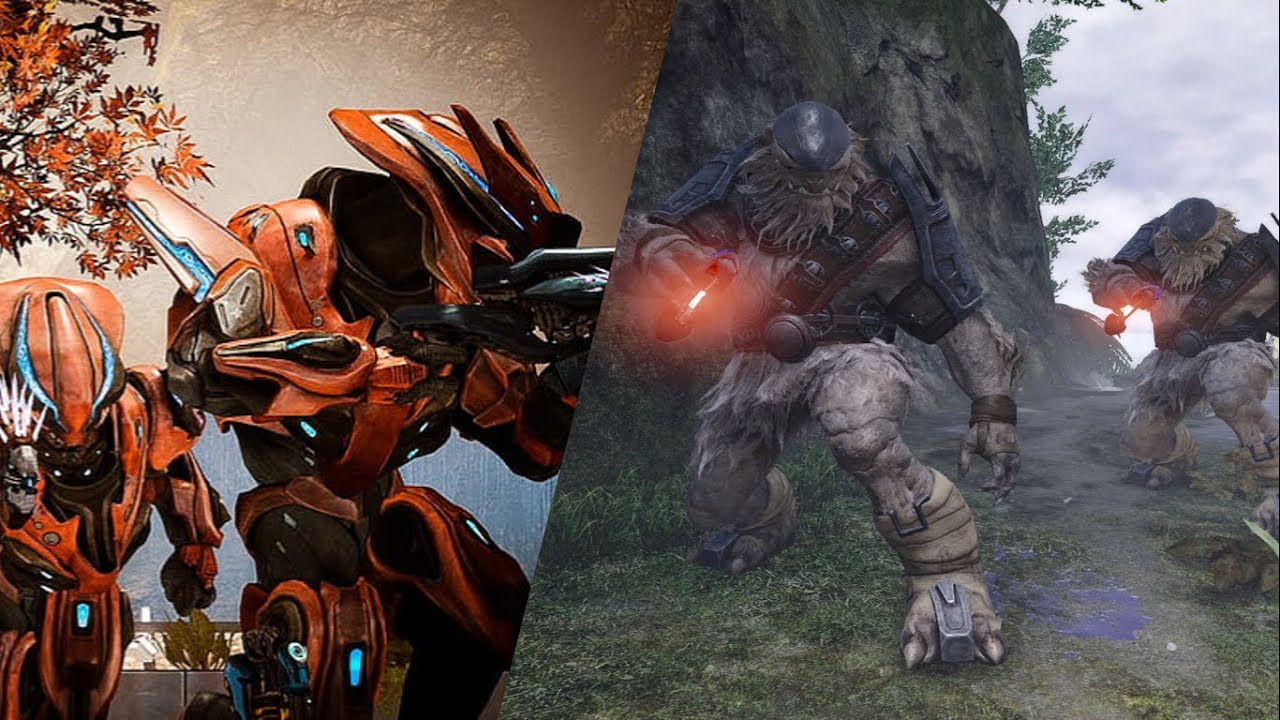 Halo Relatos| ¿Por qué los brutes tenían una rivalidad con los elites?