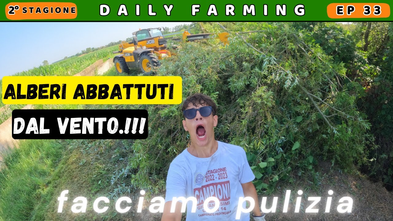 Rimuoviamo gli alberi abbattuti dal vento | 2° giro di irrigazione | dailyfarming 33