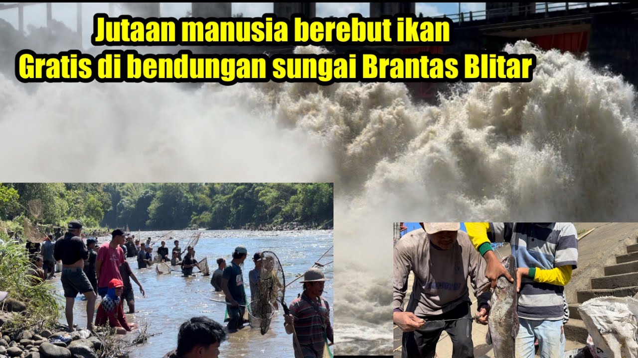 Flusing rutinan sungai Brantas Blitar di PLTA serut lodoyo, panen rejeki masyarakat blitar