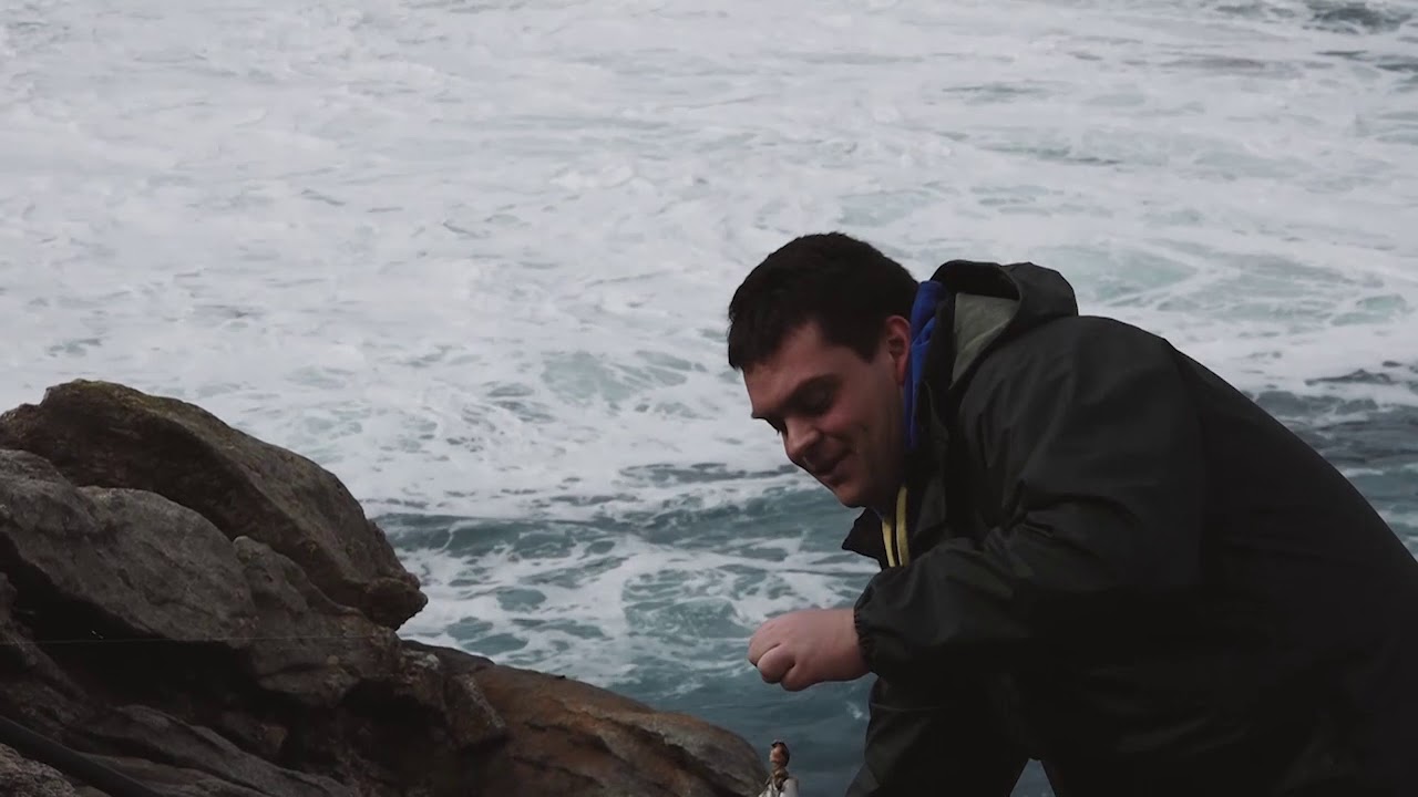 Sargos en Galicia (sargos de invierno)