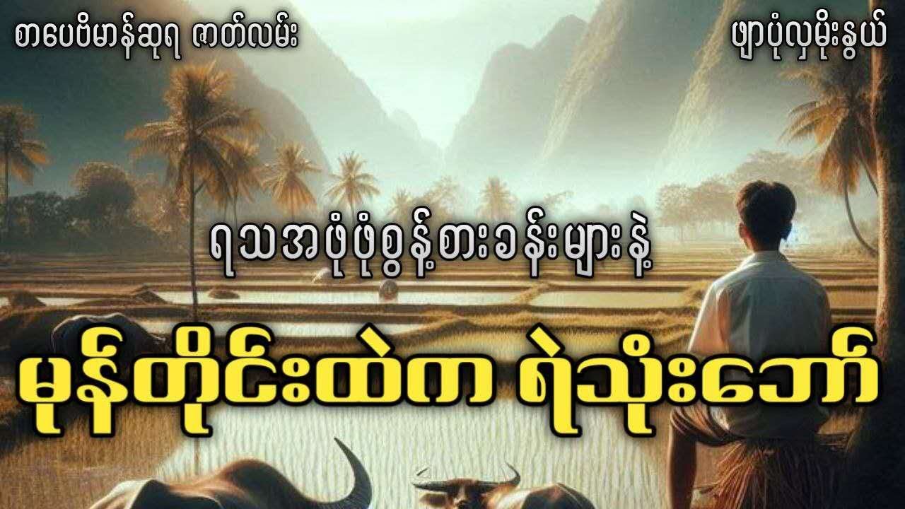 #ဖျာပုံလှမိုးနွယ် မုန်တိုင်းထဲက ရဲသုံးဘော် (စဆုံး)