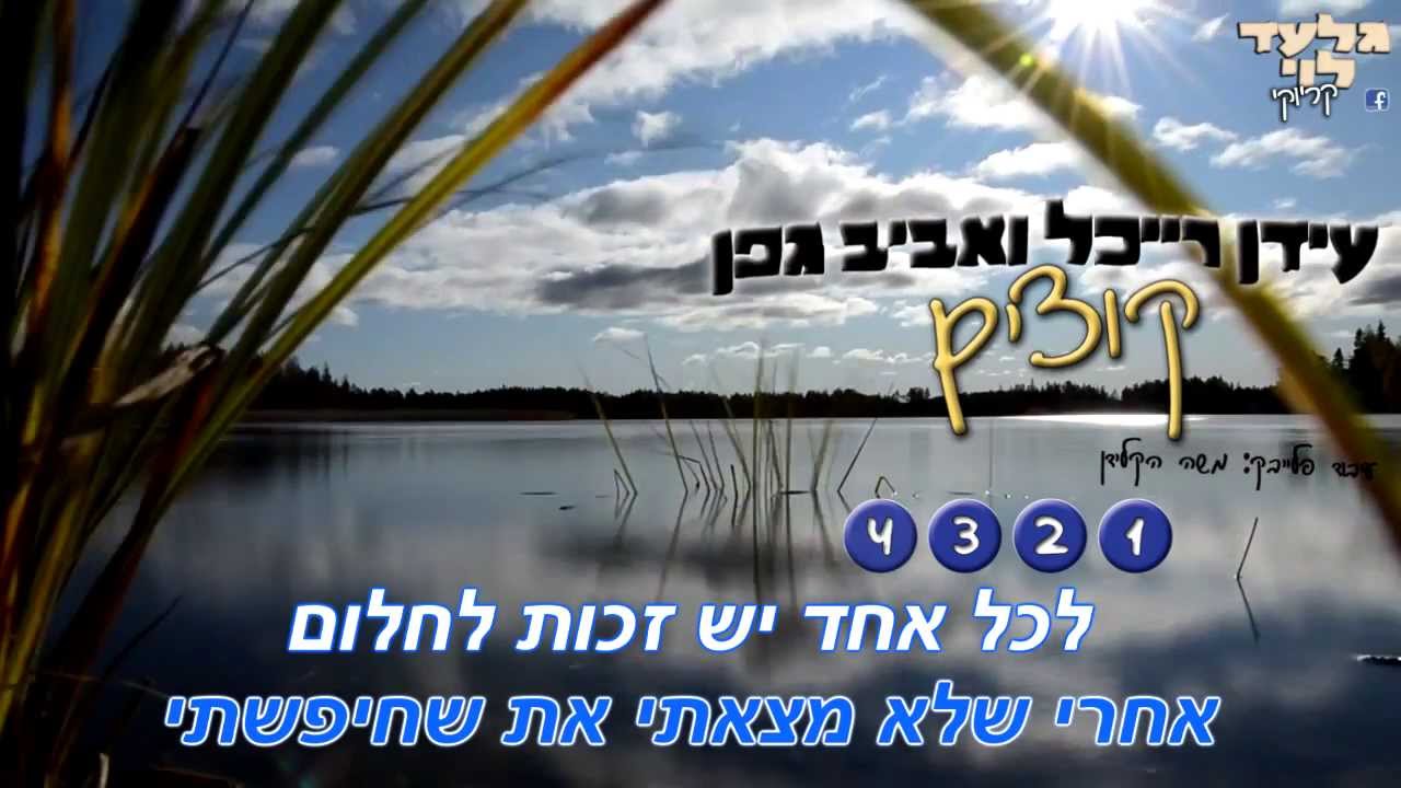 עידן רייכל ואביב גפן - קוצים | קריוקי גלעד לוי