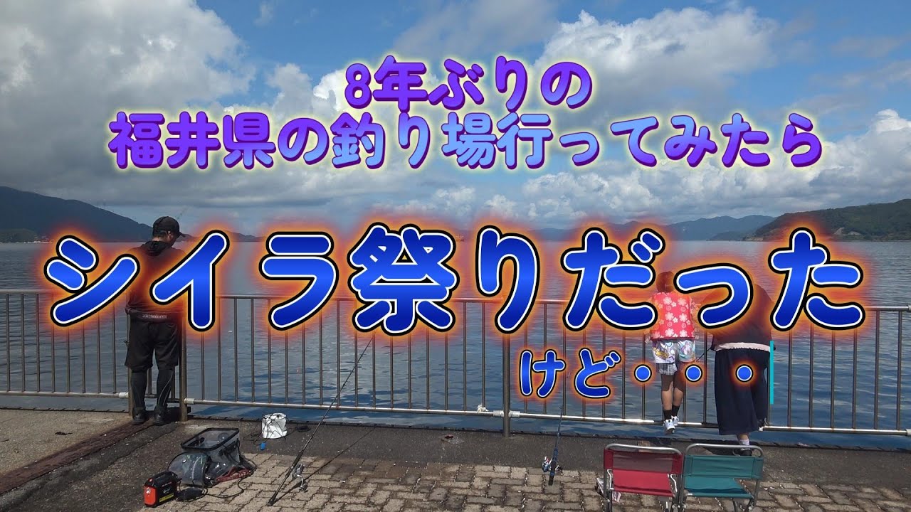 8年ぶりに福井県の釣り場に行ったらシイラ祭りだったのだけど・・・