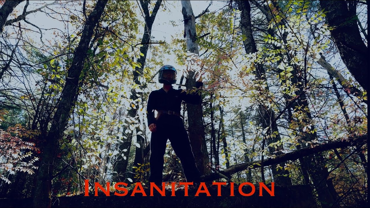 Insanitation 