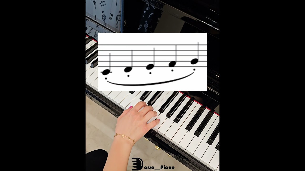 Articulation :  Legato- Portato Staccato - Staccatissimo