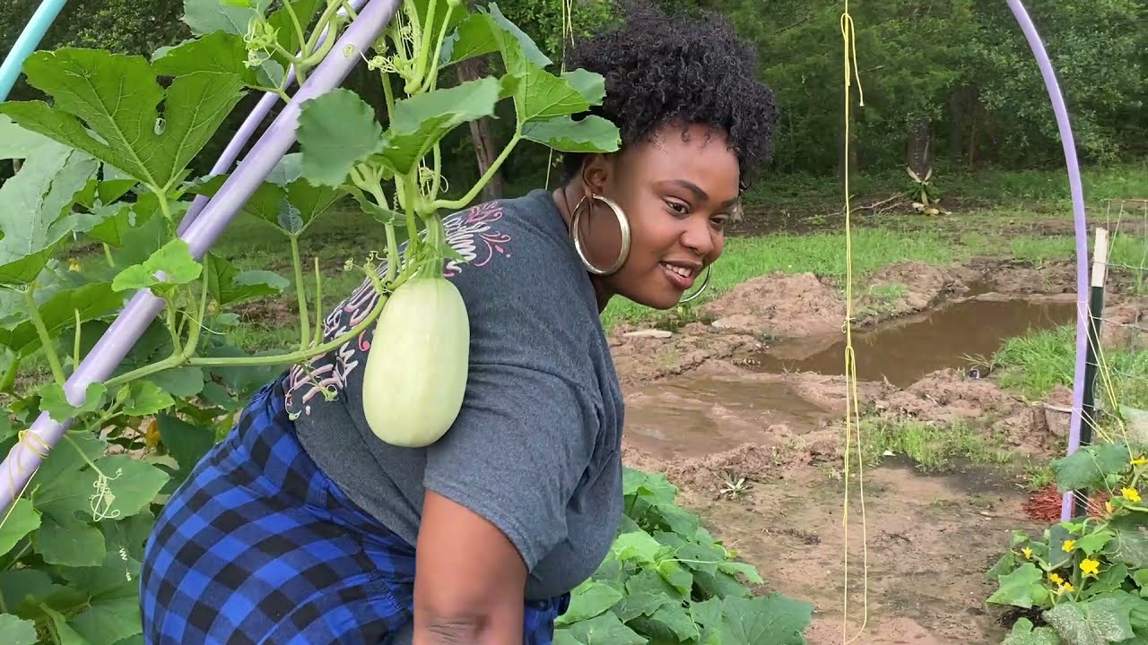 Texas Garden Tour!