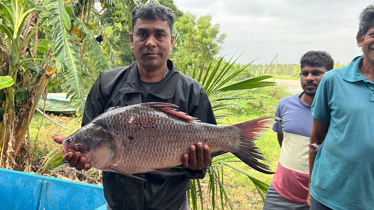 What You’ve Never Seen: Inside a Bustling Village Fish Market