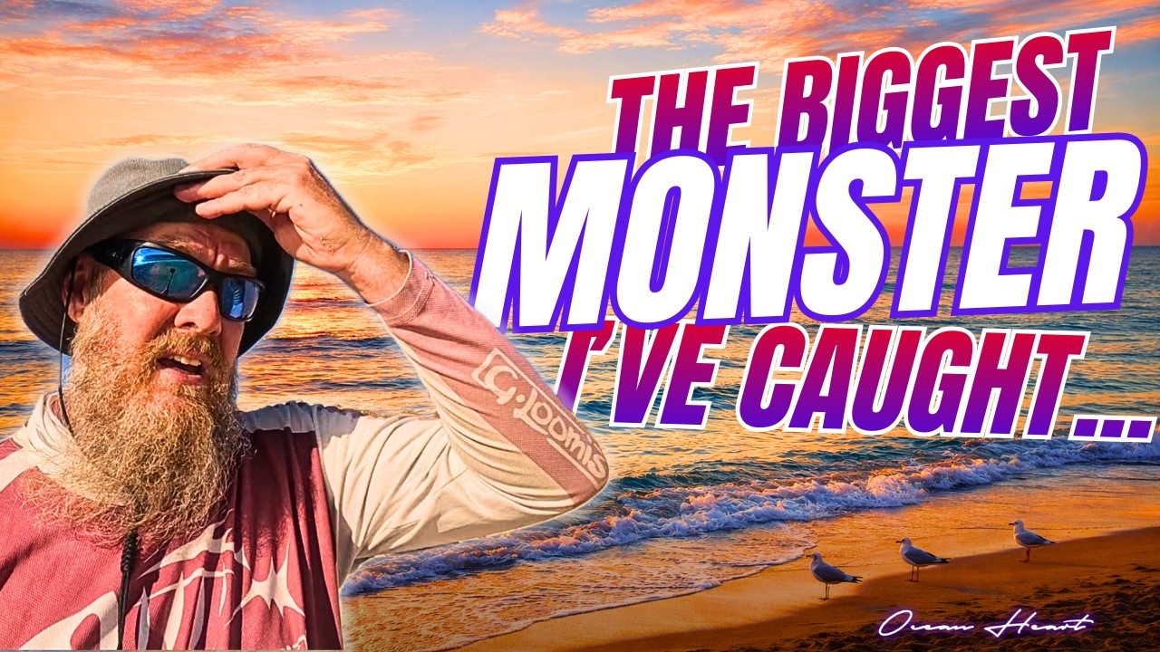 Hooking a MONSTER - TAILOR  Beach Fishing South of Perth