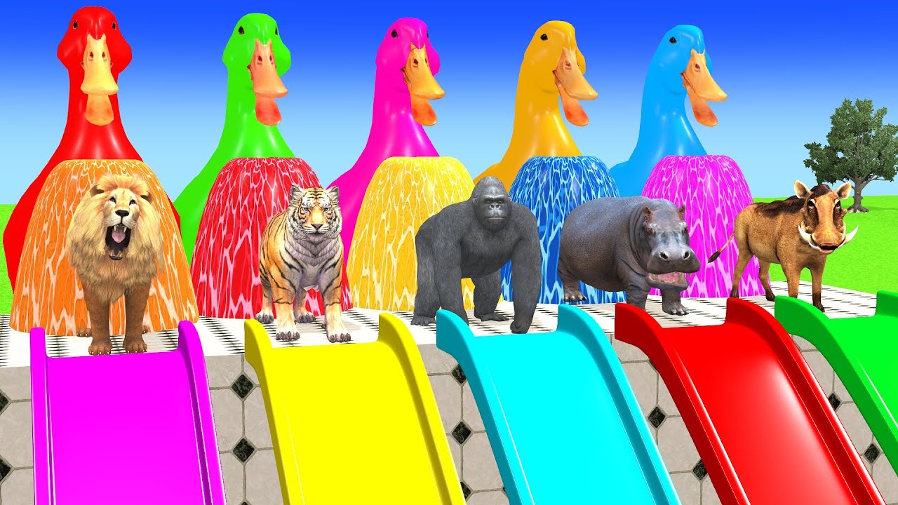 Long Slide Game With Cow Elephant Gorilla Hippopotamus Tiger 3d Animal Game Funny 3d Animals