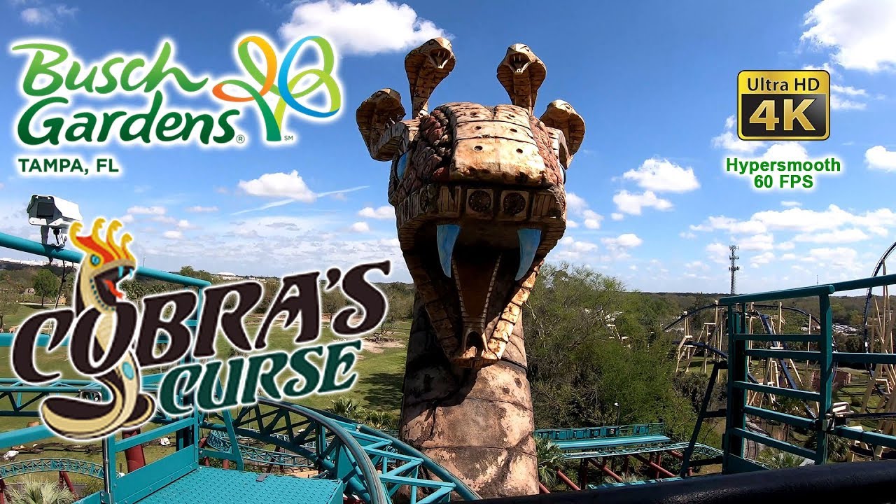 2019 Cobra's Curse Spinning Roller Coaster On Ride Ultra HD 4K 60 FPS POV Busch Gardens Tampa