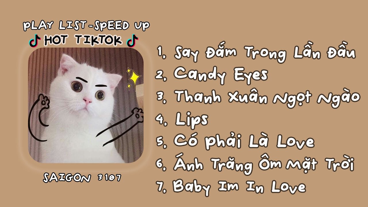 [Playlist Speed Up] WHY? EM ĐÃ CÓ CỐ GẮNG DŨNG CẢM ĐỂ NÓI BAI BAI | Speed Up Nhạc Việt Hot TikTok