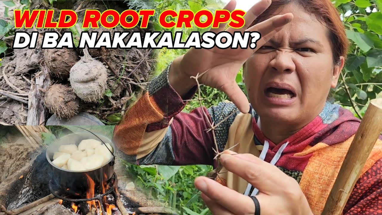 EP146 BAGONG PAMILYA NA KATUTUBO AMING NATUKLASAN SA GITNA NG KABUNDUKAN NAKATIRA