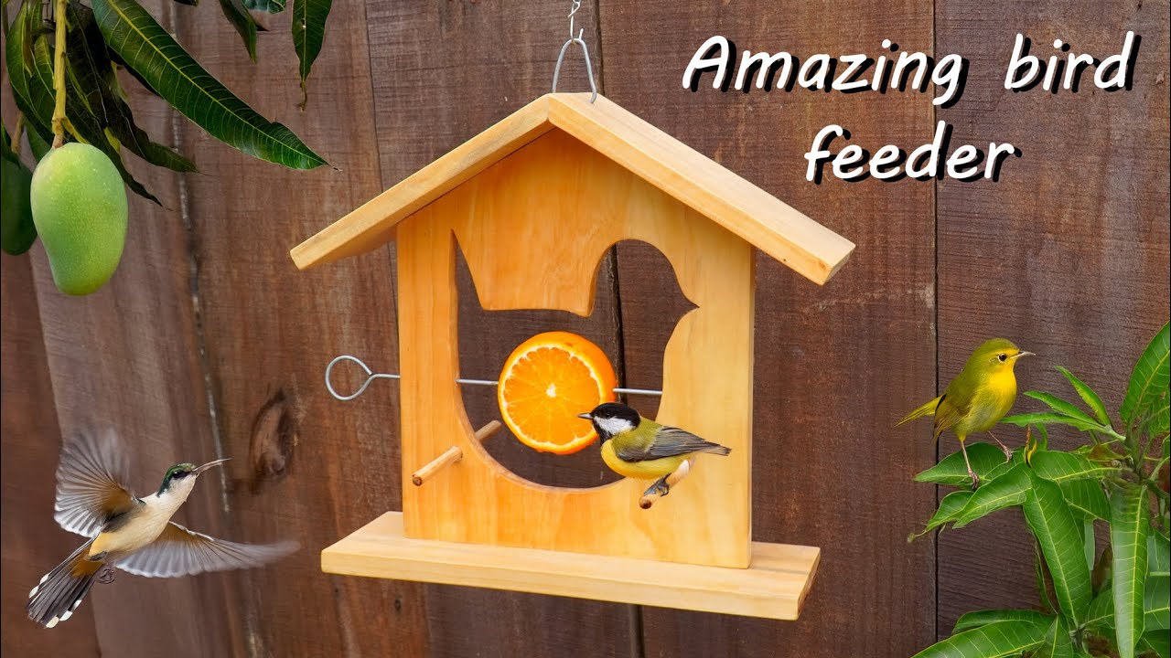 Boost health of bird with wooden bird feeder