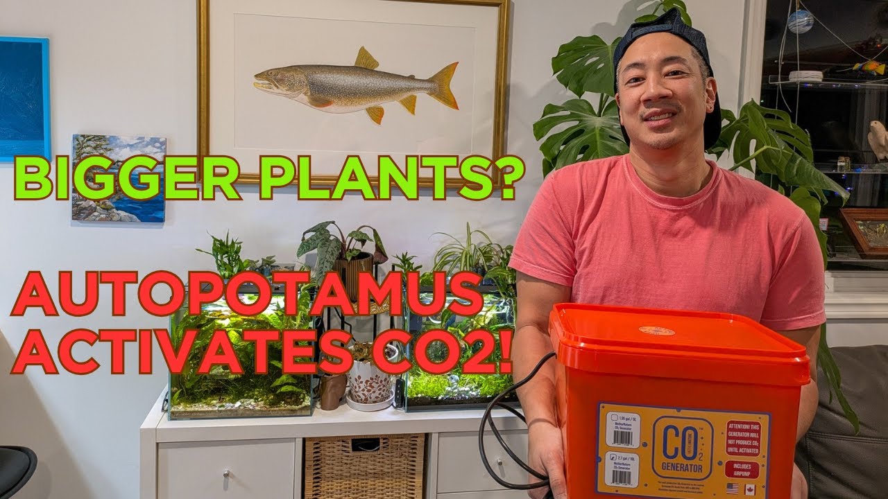 Autopot Mother Nature CO2 generator overview and setup by #autopotamus