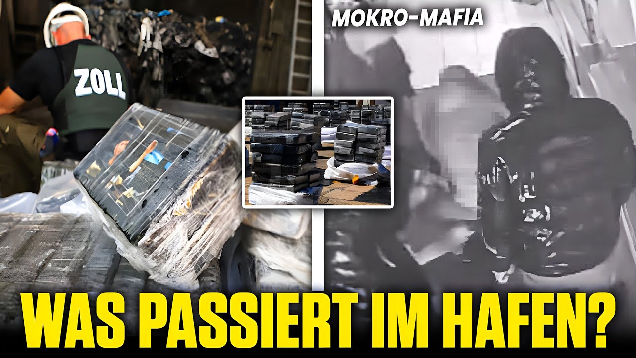 Hamburger Hafen unter Mafia-Kontrolle | Die gefährliche Machtverschiebung
