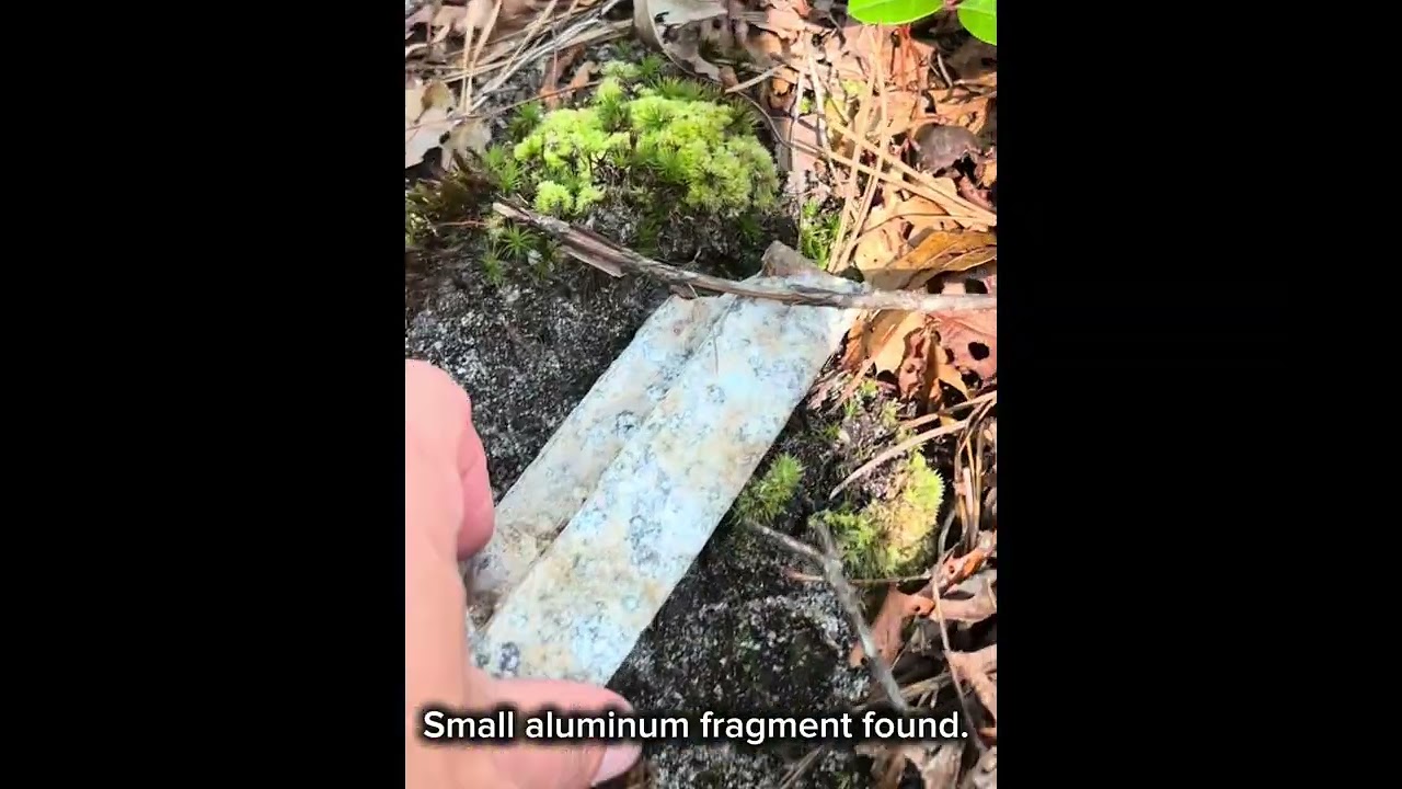 Hiking the F-14 Tomcat Crash Site: Secrets of Long Island&rsquo;s Hidden Wreckage