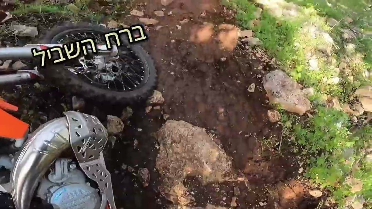 סינגל גבעת המורה באביב 7.2.26